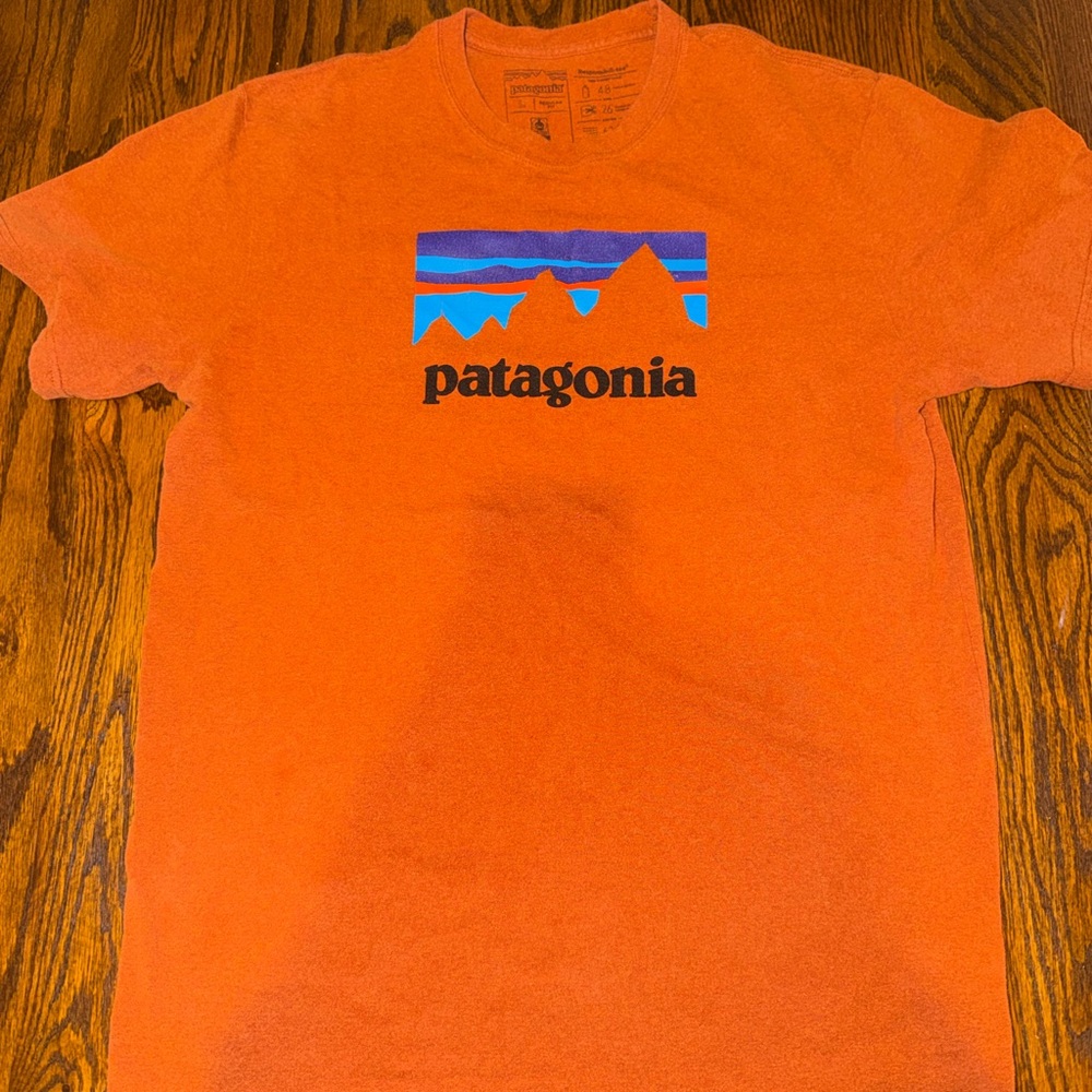 Patagonia Bright Orange Tee with Blue Graphic